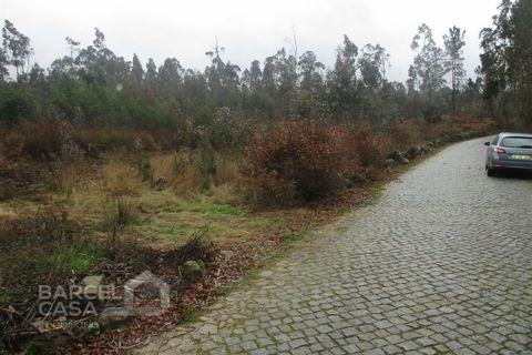 Helårsgrund i Barcelos, Braga, Barcelos - € 75.000 | Ref: 31/17 - foto 5
