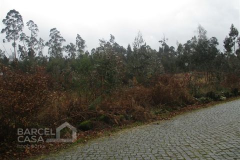 Helårsgrund i Barcelos, Braga, Barcelos - € 75.000 | Ref: 31/17 - foto 6