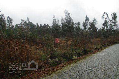 Helårsgrund i Barcelos, Braga, Barcelos - € 75.000 | Ref: 31/17 - foto 7