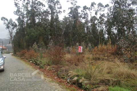 Helårsgrund i Barcelos, Braga, Barcelos - € 75.000 | Ref: 31/17 - foto 8