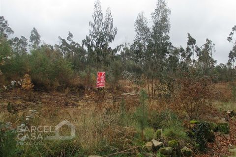 Helårsgrund i Barcelos, Braga, Barcelos - € 75.000 | Ref: 31/17 - foto 11