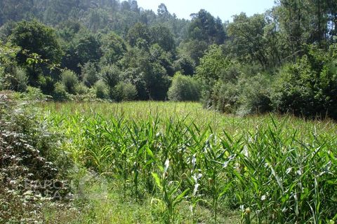 Helårsgrund i Barcelos, Braga, Barcelos - € 105.000 | Ref: 2598/08 - foto 3