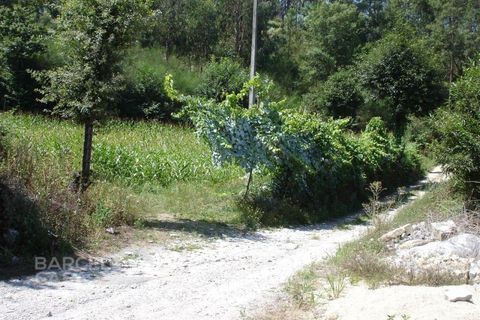 Helårsgrund i Barcelos, Braga, Barcelos - € 105.000 | Ref: 2598/08 - foto 6