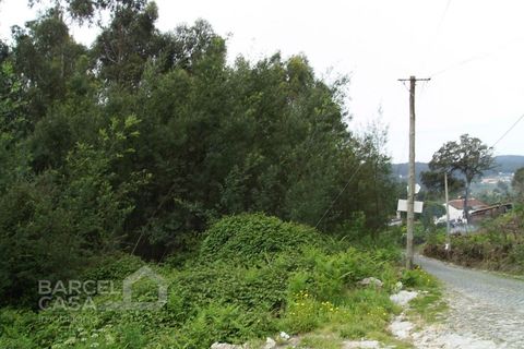 Helårsgrund i Barcelos, Braga, Barcelos - € 125.000 | Ref: 3511/10 - foto 3