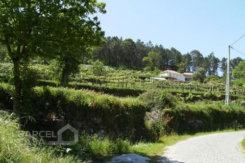 Helårsgrund i Barcelos, Braga, Barcelos - € 46.000 | Ref: 118/12 - foto 2