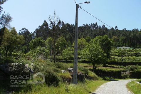 Helårsgrund i Barcelos, Braga, Barcelos - € 46.000 | Ref: 118/12 - foto 3