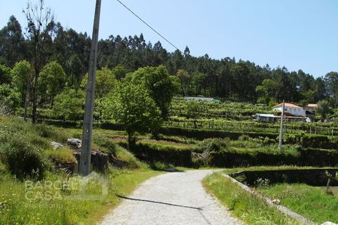 Helårsgrund i Barcelos, Braga, Barcelos - € 46.000 | Ref: 118/12 - foto 4