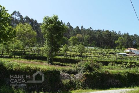 Helårsgrund i Barcelos, Braga, Barcelos - € 46.000 | Ref: 118/12 - foto 8