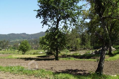 Helårsgrund i Barcelos, Braga, Barcelos - € 46.000 | Ref: 118/12 - foto 9