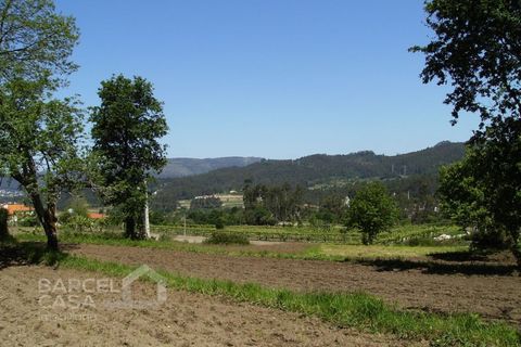 Helårsgrund i Barcelos, Braga, Barcelos - € 46.000 | Ref: 118/12 - foto 10