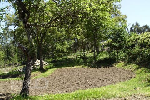Helårsgrund i Barcelos, Braga, Barcelos - € 46.000 | Ref: 118/12 - foto 11
