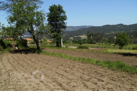 Helårsgrund i Barcelos, Braga, Barcelos - € 46.000 | Ref: 118/12 - foto 12