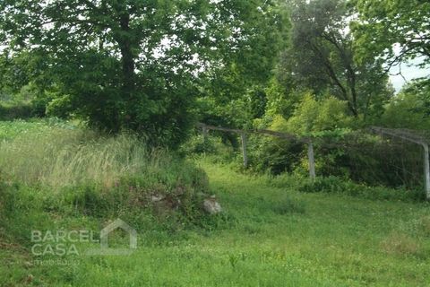 Helårsgrund i Barcelos, Braga, Barcelos - € 75.000 | Ref: 3561/10 - foto 3