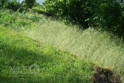 Helårsgrund i Barcelos, Braga, Barcelos - € 75.000 | Ref: 3561/10 - foto 4