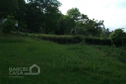 Helårsgrund i Barcelos, Braga, Barcelos - € 75.000 | Ref: 3561/10 - foto 5