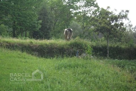 Helårsgrund i Barcelos, Braga, Barcelos - € 75.000 | Ref: 3561/10 - foto 6