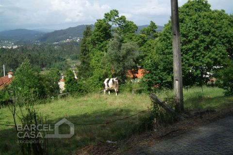Helårsgrund i Barcelos, Braga, Barcelos - € 75.000 | Ref: 3561/10 - foto 12