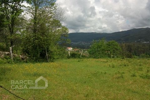 Helårsgrund i Barcelos, Braga, Barcelos - € 75.000 | Ref: 3561/10 - foto 15