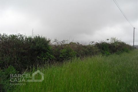 Helårsgrund i Freitas e Vila Cova, Braga, Freitas e Vila Cova - € 200.000 | Ref: 97/13 - foto 3