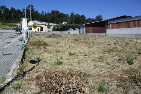Tomt i Campo e Tamel, Braga, Campo e Tamel - € 130 000 | Ref: 171/13 - foto 2