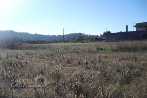 Helårsgrund i Barcelos, Braga, Barcelos - € 40.000 | Ref: 429/13 - foto 2