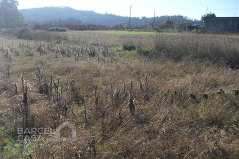 Helårsgrund i Barcelos, Braga, Barcelos - € 40.000 | Ref: 429/13 - foto 3
