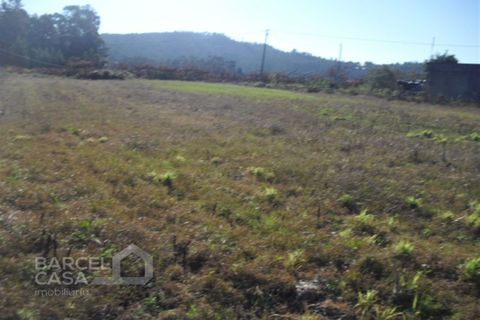 Helårsgrund i Barcelos, Braga, Barcelos - € 40.000 | Ref: 429/13 - foto 5
