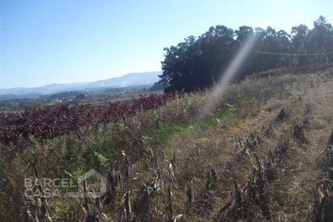 Helårsgrund i Barcelos, Braga, Barcelos - € 40.000 | Ref: 429/13 - foto 6