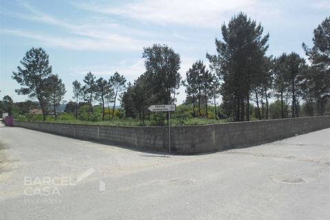 Helårsgrund i Barcelos, Braga, Barcelos - € 790.000 | Ref: 167/12 - foto 2