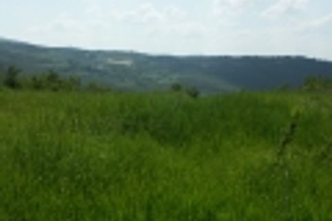 Landejendom i Todi, Perugia, Todi - € 150.000 | Ref: VCR54 - foto 10