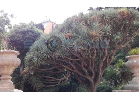 Villa i Oeiras, Lisbon, Oeiras - € 12.500.000 | Ref: SL AG 4/2025 - foto 17