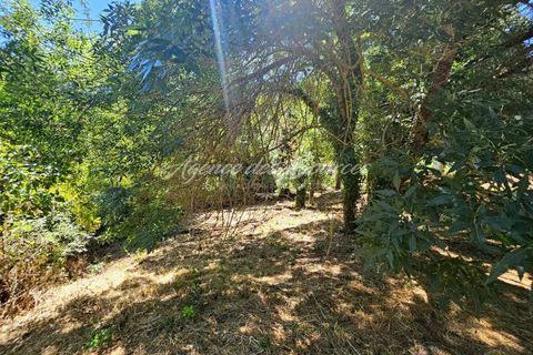 Tomt i Barjols, Var, Barjols - € 139 500 | Ref: 1566 - foto 7