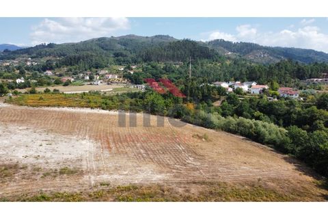 Helårsgrund i Arcos de Valdevez, Viana do Castelo, Arcos de Valdevez - € 280.000 | Ref: AVV-1904-AG-0921 - foto 6