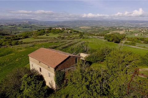 Farm i Todi, Perugia, Todi - € 850.000 | Ref: VAZ58 - foto 2