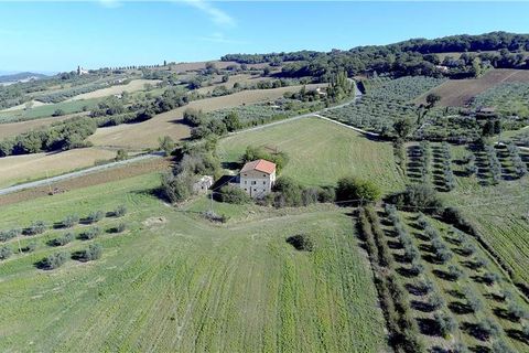 Farm i Todi, Perugia, Todi - € 850.000 | Ref: VAZ58 - foto 3