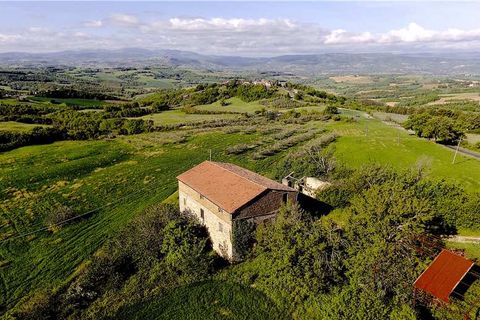 Farm i Todi, Perugia, Todi - € 850.000 | Ref: VAZ58 - foto 4