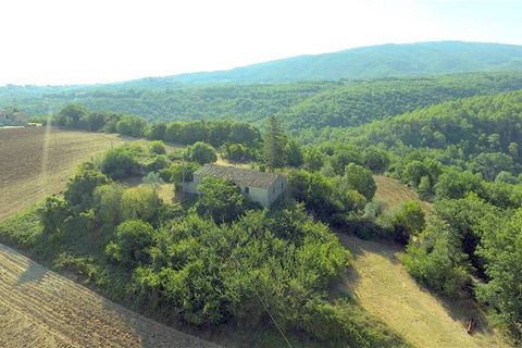 Landejendom i Gualdo Cattaneo, Perugia, Gualdo Cattaneo - € 95.000 | Ref: VCR107 - foto 6