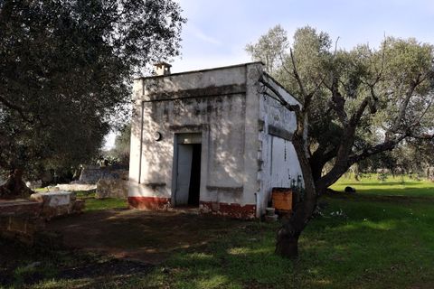 Landejendom i Ostuni, Brindisi, Ostuni - € 150.000 | Ref: 132 - foto 6