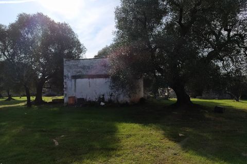 Landejendom i Ostuni, Brindisi, Ostuni - € 150.000 | Ref: 132 - foto 10
