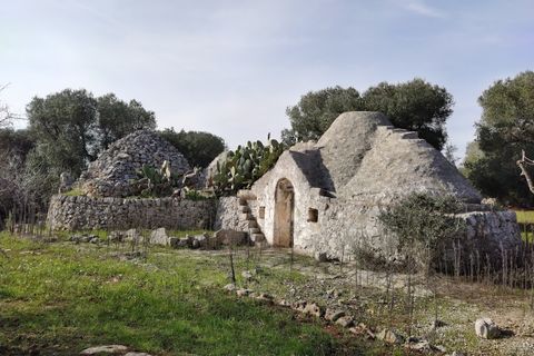 Landejendom i Ostuni, Brindisi, Ostuni - € 150.000 | Ref: 132 - foto 5