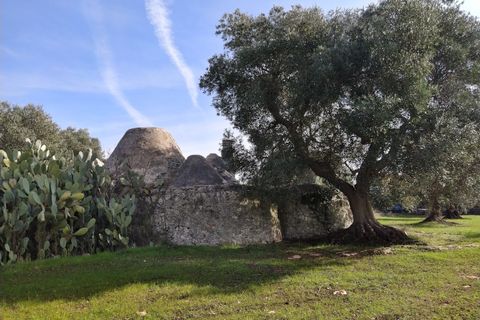 Landejendom i Ostuni, Brindisi, Ostuni - € 150.000 | Ref: 132 - foto 4