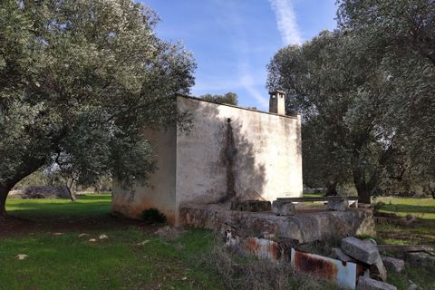 Landejendom i Ostuni, Brindisi, Ostuni - € 150.000 | Ref: 132 - foto 12