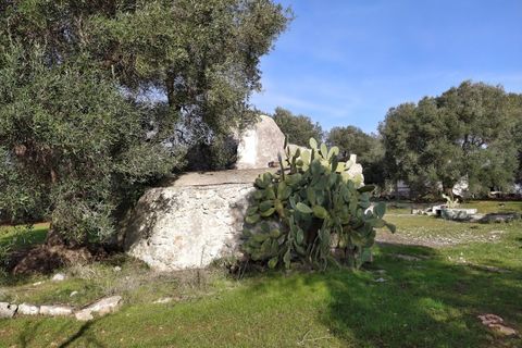 Landejendom i Ostuni, Brindisi, Ostuni - € 150.000 | Ref: 132 - foto 3