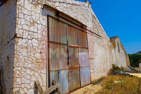 Gård i Albufeira, Faro, Albufeira - € 2 500 000 | Ref: 170180119 - foto 10