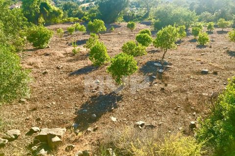 Helårsgrund i Estoi, Faro, Estoi - € 110.000 | Ref: 165210045 - foto 3