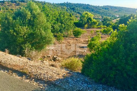 Helårsgrund i Estoi, Faro, Estoi - € 110.000 | Ref: 165210045 - foto 1