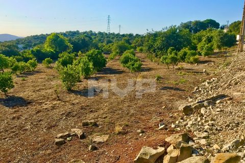 Helårsgrund i Estoi, Faro, Estoi - € 110.000 | Ref: 165210045 - foto 2
