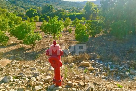 Helårsgrund i Estoi, Faro, Estoi - € 110.000 | Ref: 165210045 - foto 4