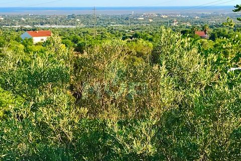 Helårsgrund i Estoi, Faro, Estoi - € 92.000 | Ref: 165210046 - foto 2