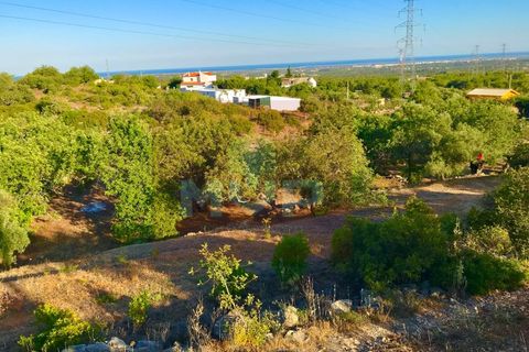 Helårsgrund i Estoi, Faro, Estoi - € 92.000 | Ref: 165210046 - foto 1